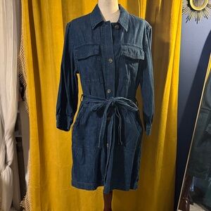 Elegant Long Sleeve Denim Dress